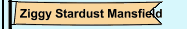 Ziggy Stardust Mansfield