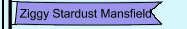 Ziggy Stardust Mansfield